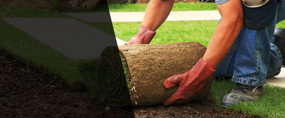 Earlville Landscapers